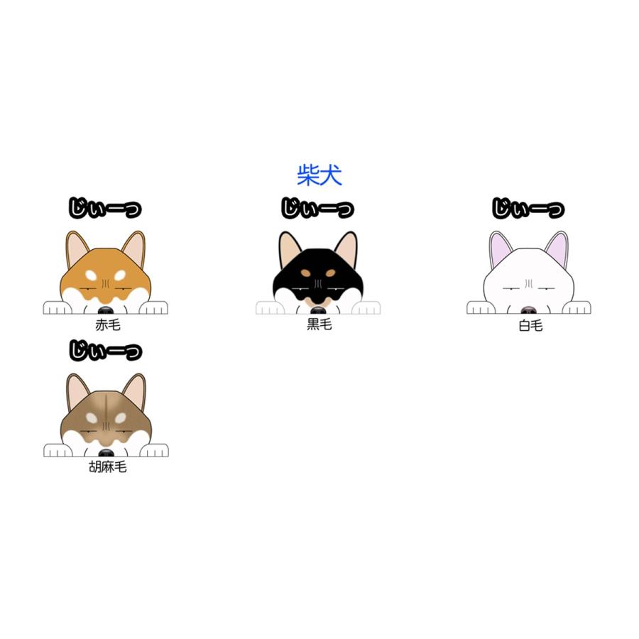ドライブレコーダー犬ステッカー 数量限定 柴犬 犬 犬ステッカー ドラレコ録画中 ドラrec カーステッカー ドッグステッカー 選べる 車 ドライブレコーダーステッカー