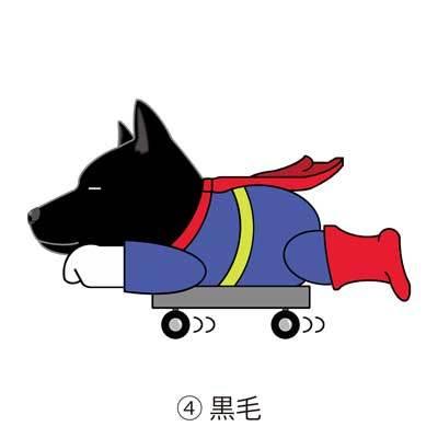 Superwanステッカー 甲斐犬 甲斐 犬 犬ステッカー 車 窓 玄関 犬種別 名前 ステッカー ドッグステッカー グッズ カーステッカー S Skakf01 Argent 通販 Yahoo ショッピング