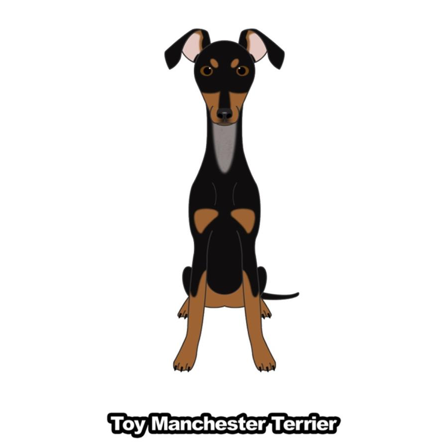 税込 オーナーズグッズ 車で愛犬自慢 トイマンチェスターテリア 立ち耳 折れ耳 犬 犬ステッカー 車 窓 玄関 犬種別 名前 ステッカー カーステッカー グッズ ドッグステッカー Www Threeriversofs Com