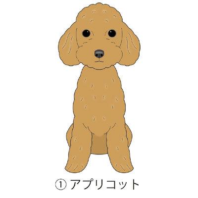 トイプードル トイプー プードル 犬 犬ステッカー 車 窓 玄関 犬種別 名前 ステッカー ドッグステッカー グッズ カーステッカー S Tp01 Argent 通販 Yahoo ショッピング