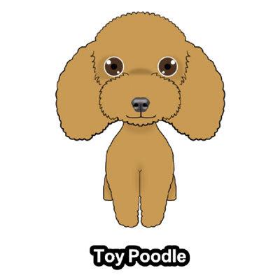 トイプードル トイプー ファンシータイプ 犬 犬ステッカー 車 窓 玄関 犬種別 名前 ステッカー ドッグステッカー グッズ カーステッカー S Tpf01 Argent 通販 Yahoo ショッピング