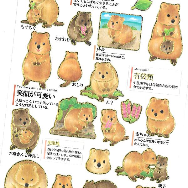 大人の図鑑シール クアッカワラビー 可愛い 動物 金箔押し加工 カミオジャパン 手帳 デコ 箔押し ありしろ雑貨店yahoo 店 通販 Yahoo ショッピング