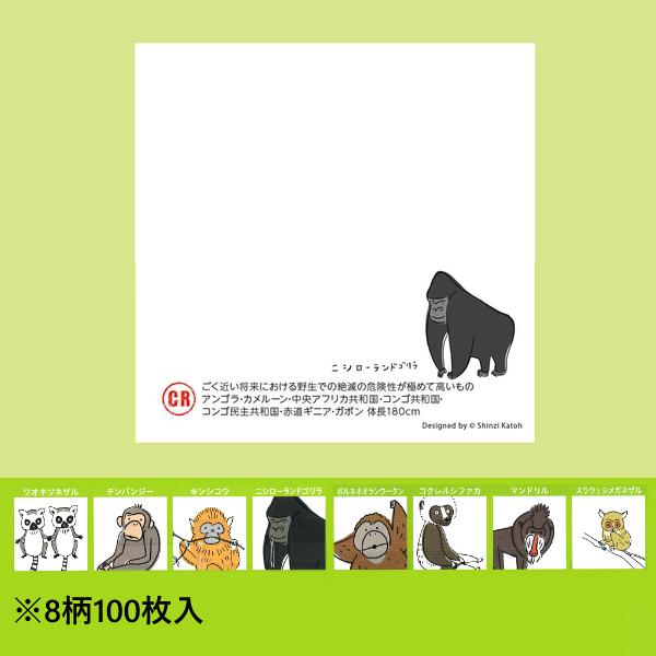 猿の絶滅危惧種 ブロックメモ 100枚入 / 8柄 動物 スクエアメモ Shinzi Katoh シンジカトウ｜ari-zakka｜02