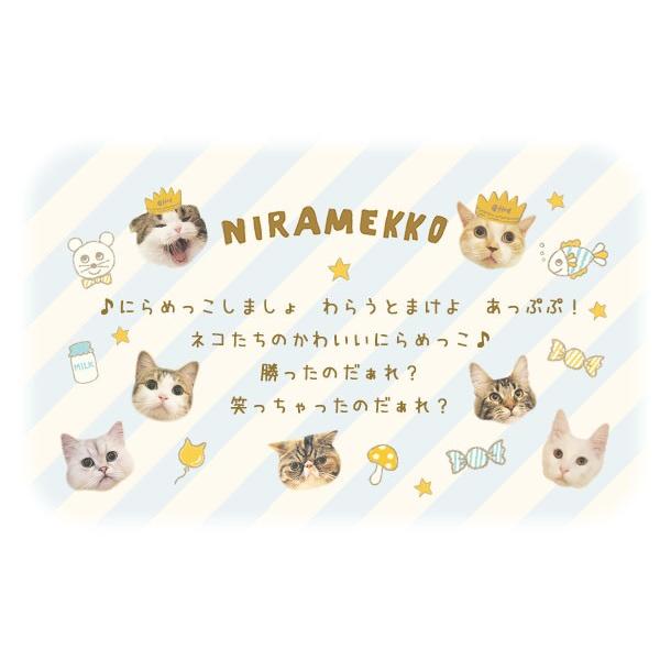 巻売 479★ 海外 マスキングテープ マステ PET 装飾 動物 猫 金ホロ 巻売 479☆ 海外 マスキングテープ マステ PET 装飾 動物 猫 金ホロ