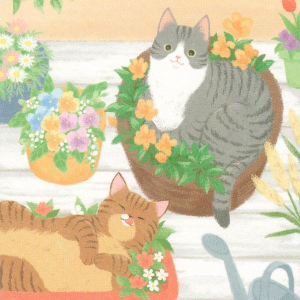 エヌビー社 にゃんとも ポストカード はなにわ / サバトラ 茶トラ 猫