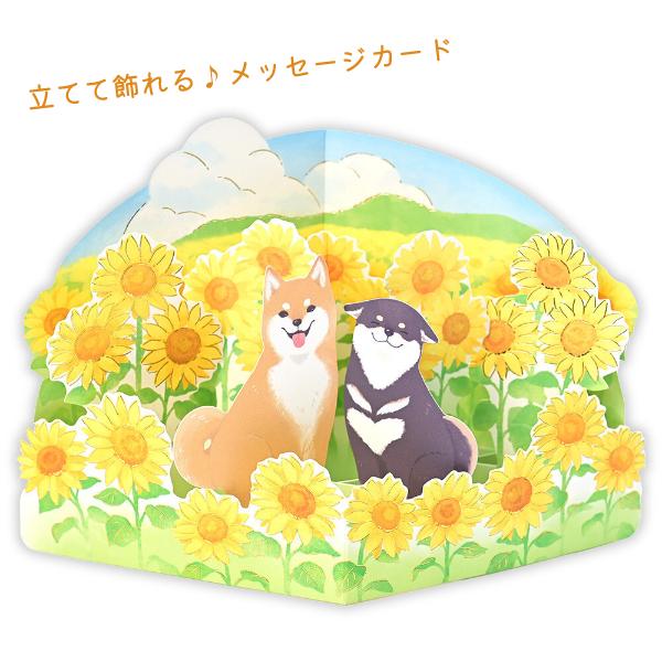 エヌビー社 飾れる 立体カード 多目的 向日葵しば / 柴犬 ヒマワリ