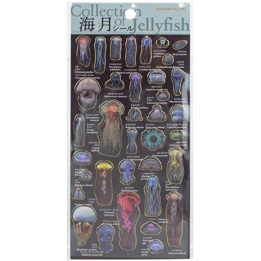 ミニ図鑑 海月シール / クラゲ 透明 金フチ PVC素材 リアル 海洋生物