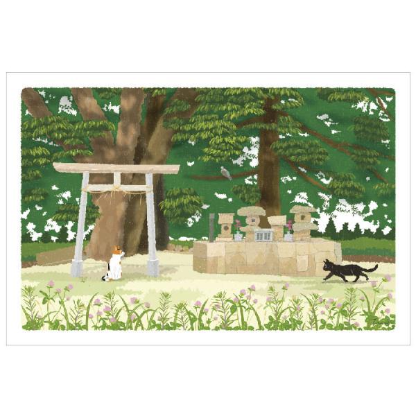 たびねこ 夏柄 ポストカード 約束の場所 / 可愛い 猫 ネコ 四季 風景 はがき もりとしのり｜ari-zakka