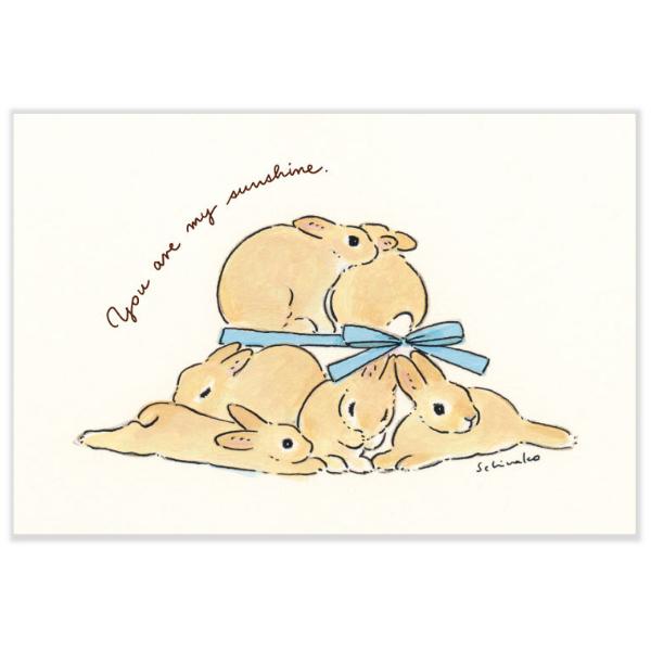 Leaf ファンクラブ 暑中見舞い 年賀状 ポストカード 希少 Leaf ファンクラブ 暑中見舞い 年賀状 ポストカード 希少 Leaf ファン