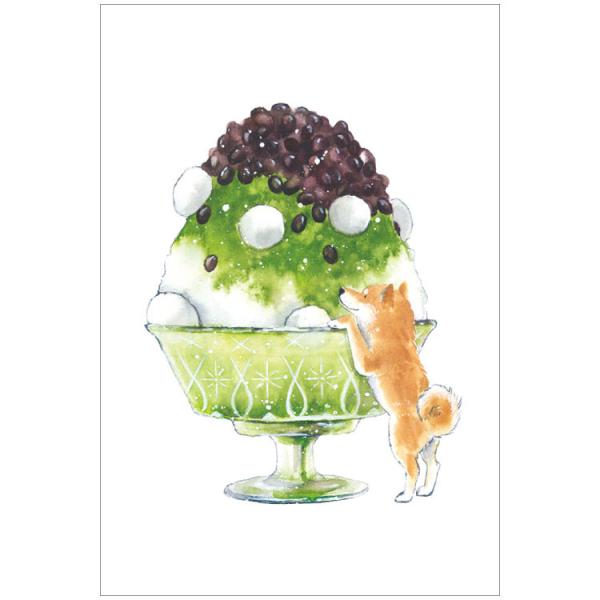 破格値下げ しばいぬとおいしい夏 ポストカード 宇治金時 かき氷 可愛い 柴犬 夏柄 村田なつか はがき Aynaelda Com