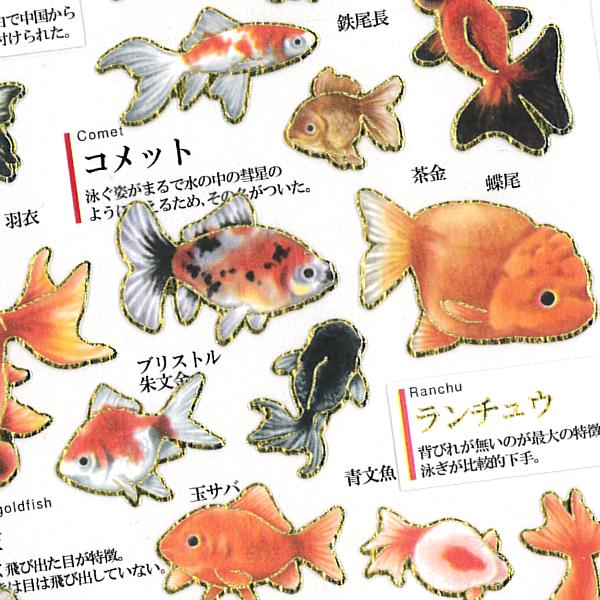カミオジャパン (在庫限りで価格改定) 大人の図鑑シール 金魚 / 可愛い