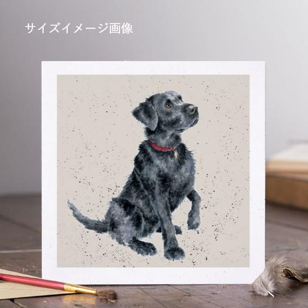 ドッグカード Black Lab / ラブラドール 犬 封筒付き メッセージカード Wrendale Designs｜ari-zakka｜03