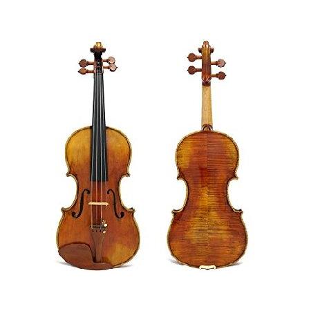 D'Luca　PROV-CA800-44　Strauss　Case　Violin　with　Molded　Antique　800　SKB　Finish　Espressivo