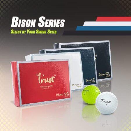 スノーブルー 4ダースセット - トラストバイソン V ウレタンカバー