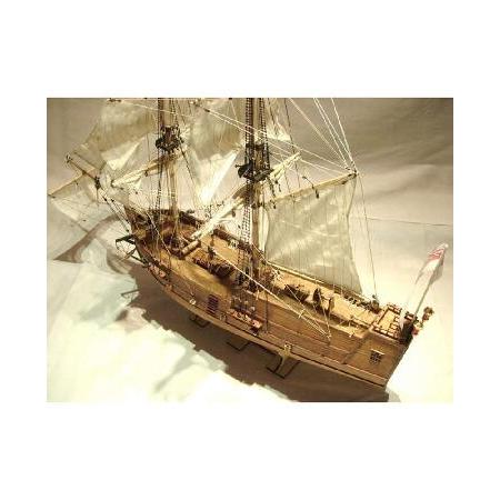 【希少！！】 Wooden 1/100 Scale Star 新品Golden Model Kit Ship 生活雑貨