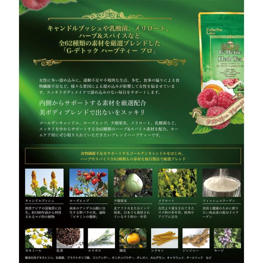 エステプロラボ Esthe Pro Labo G デトックハーブティプロ 30包x2 ダイエット おなかスッキリ 天然素材 おいしい デトックス腸活 オーガニック 便秘解消 S 1 2 アリアナショップ 通販 Yahoo ショッピング