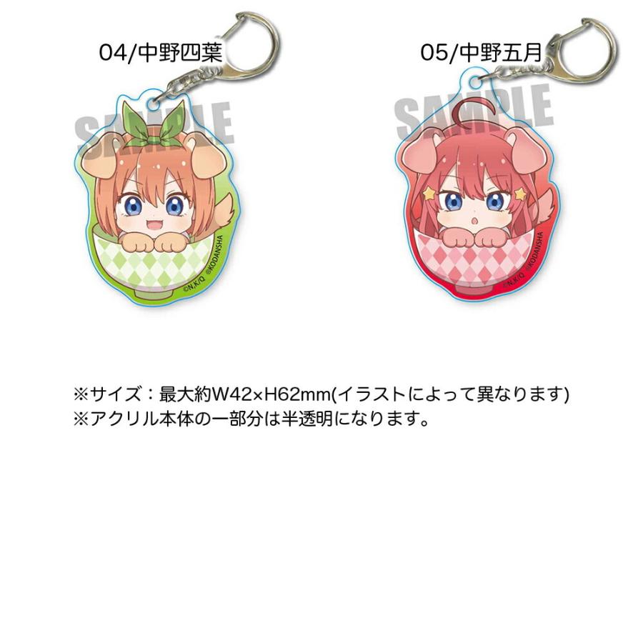 五等分の花嫁 グッズ わんこめし アクリルキーホルダー フィギュア キーチェーン ストラップ 透明 中野一花 中野二乃 中野三玖 中野四葉 中野五月 五姉妹 Akwc Goto Ariat 通販 Yahoo ショッピング