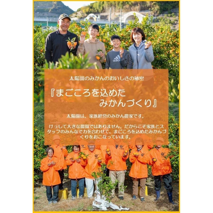 ❷【♡数量限定♡秀品♡】有田みかん 木なり熟成早生 10kg Lサイズ程度♡ 有田みかん 秀品 3kg（箱込み）+痛み保障増量 木成り完熟【贈答用】大