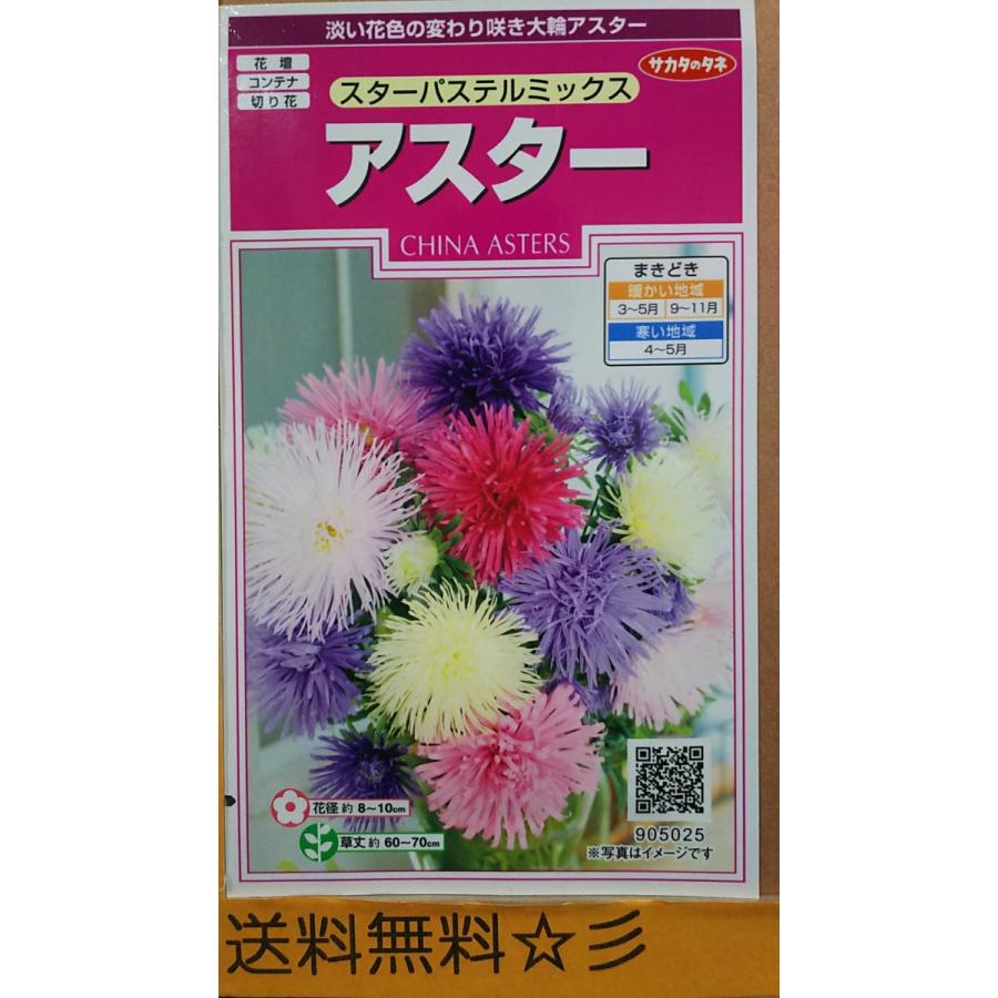 アスター スター パステル ミックス 種 送料無料 1srasuta Starpastel きのくに種苗店 通販 Yahoo ショッピング