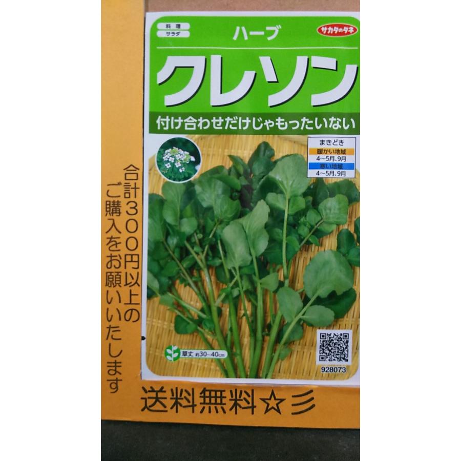 クレソン オランダカラシ ハーブ 種 送料無料 1srkureson きのくに種苗店 通販 Yahoo ショッピング