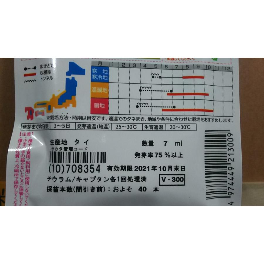 オクラ 発芽 日数 第9回 上手に発芽させるにはコツがあります 初心者さんもやってみよう タネまきから苗育てatoz 読みもの サカタのタネ 家庭菜園 園芸情報サイト 園芸通信