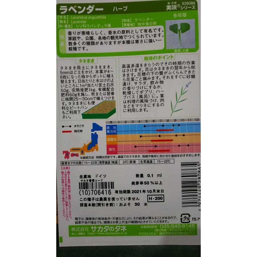 ラベンダー ハーブ ポプリ 種 送料無料 1srrabendaherb きのくに種苗店 通販 Yahoo ショッピング