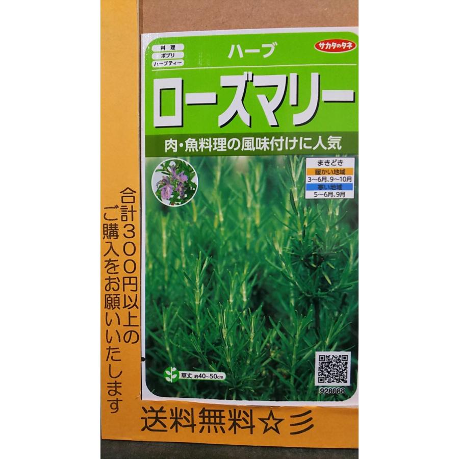 ローズマリー ハーブ 種 送料無料 Qualitystaffinghomecare Com