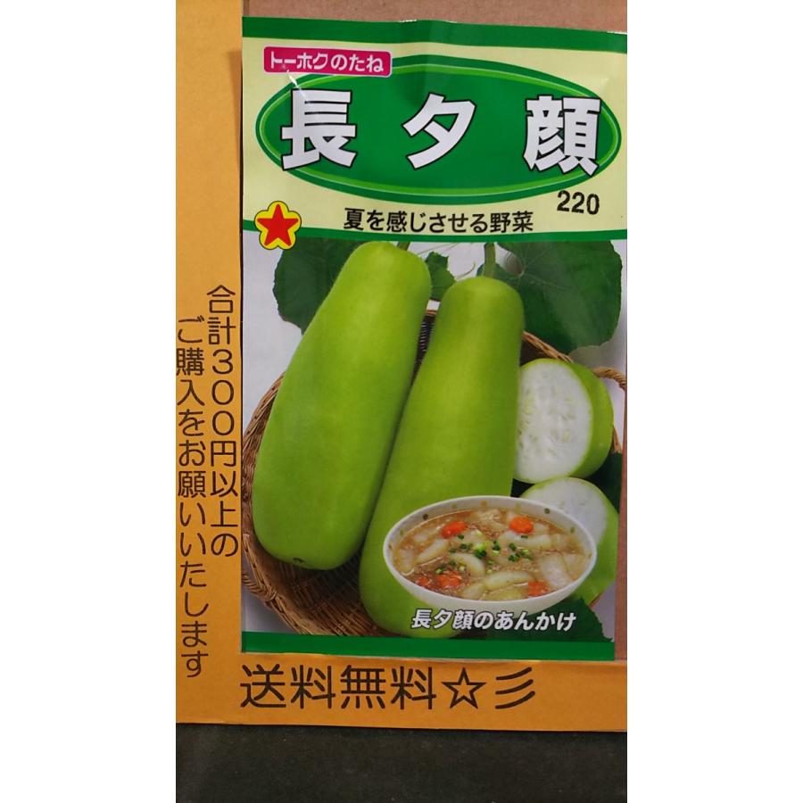 長夕顔 かんぴょう 種 送料無料 1trkanpyou きのくに種苗店 通販 Yahoo ショッピング