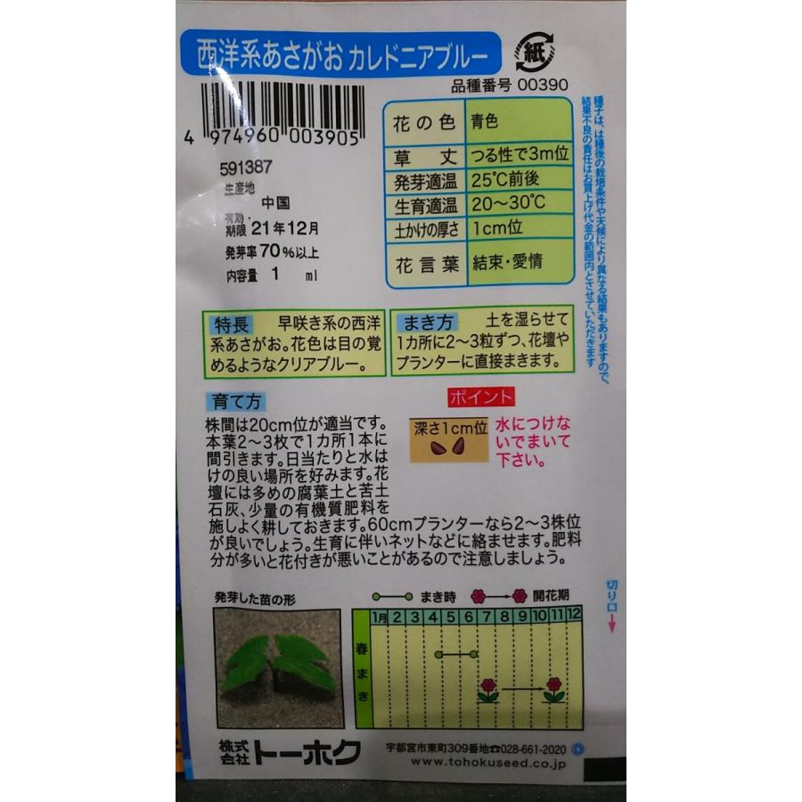 カレドニア 宅送 ブルー 西洋系 あさがお 種 朝顔 送料無料