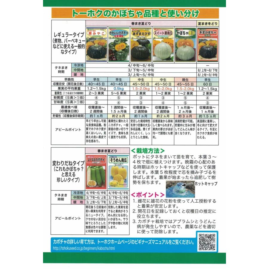 かわいい カボチャ 栗美人 南瓜 ミニ 種 送料無料 1trkuribijin きのくに種苗店 通販 Yahoo ショッピング