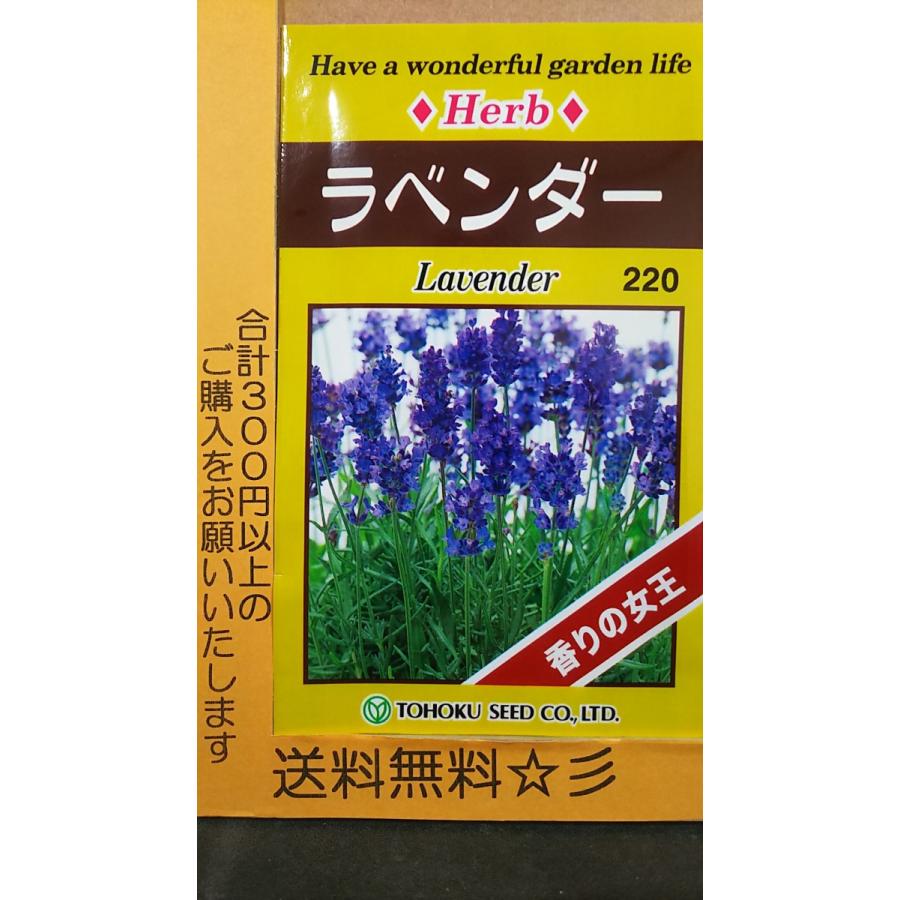 ラベンダー 香りの女王 ハーブ 種 送料無料 Closdugravillas Com
