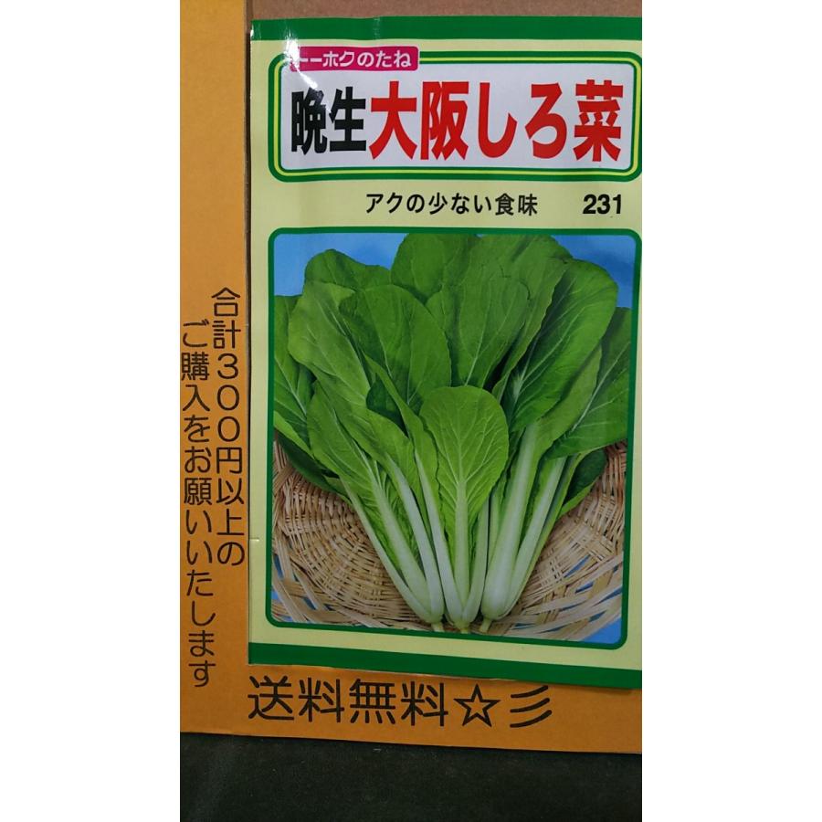 晩生 大阪 しろ菜 シロナ 種 送料無料 1troosakasirona きのくに種苗店 通販 Yahoo ショッピング