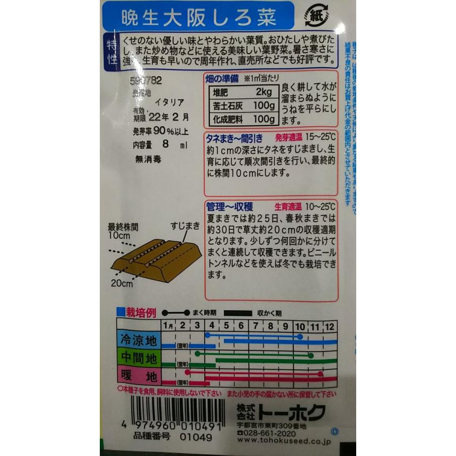 晩生 大阪 しろ菜 シロナ 種 送料無料 1troosakasirona きのくに種苗店 通販 Yahoo ショッピング