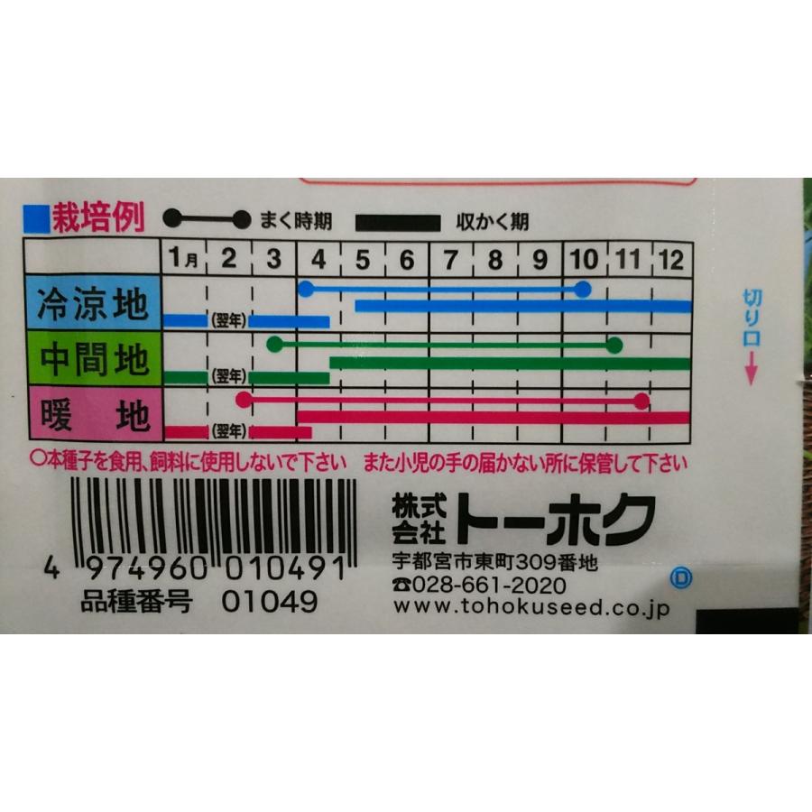 晩生 大阪 しろ菜 シロナ 種 送料無料 1troosakasirona きのくに種苗店 通販 Yahoo ショッピング