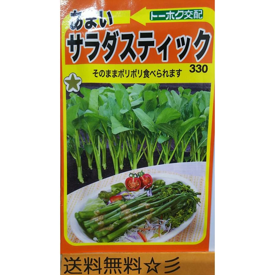 あまい サラダ スティック ナバナ 種 送料無料 Rise Solutions Ca