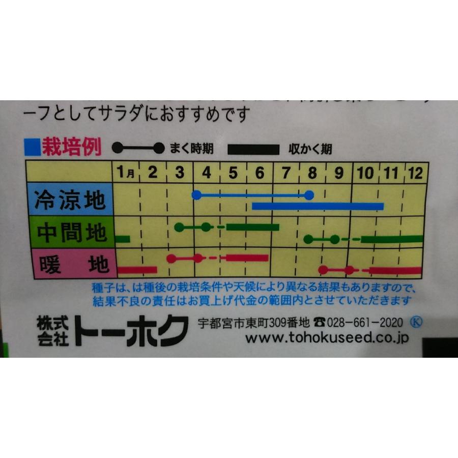 あま い サラダ ビーツ 種 クリアランスsale 期間限定 送料無料