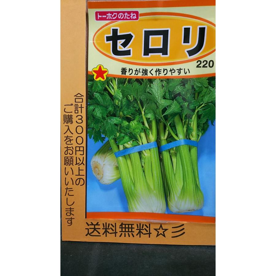 セロリ サラダ スープ 種 送料無料 1trserori きのくに種苗店 通販 Yahoo ショッピング