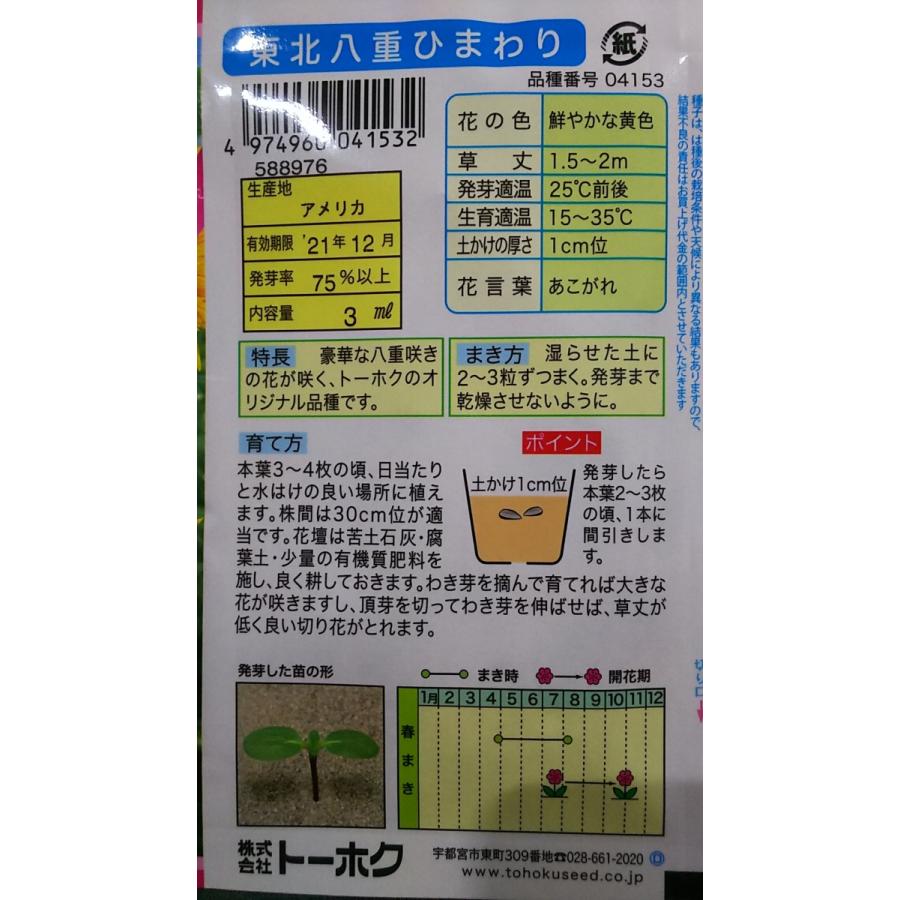 東北 八重 ひまわり 向日葵 種 送料無料 1trtouhokuyae きのくに種苗店 通販 Yahoo ショッピング