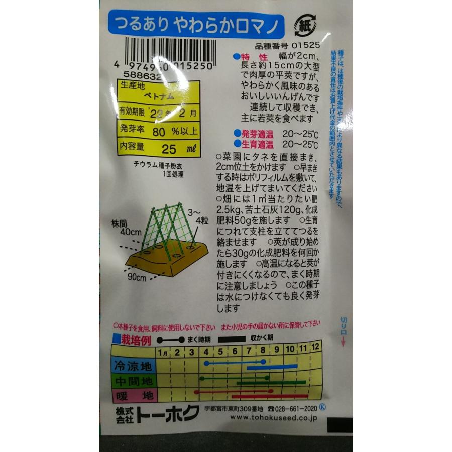 つるあり やわらか ロマノ インゲン 豆 種 送料無料 新作通販