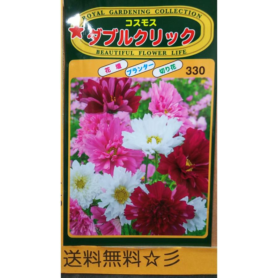 コスモス ダブル クリック 半八重 種 送料無料 1trwclick きのくに種苗店 通販 Yahoo ショッピング