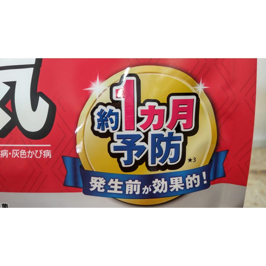 ベニカX ガード 粒剤 550g ×1袋 送料無料 使用期限1年以上