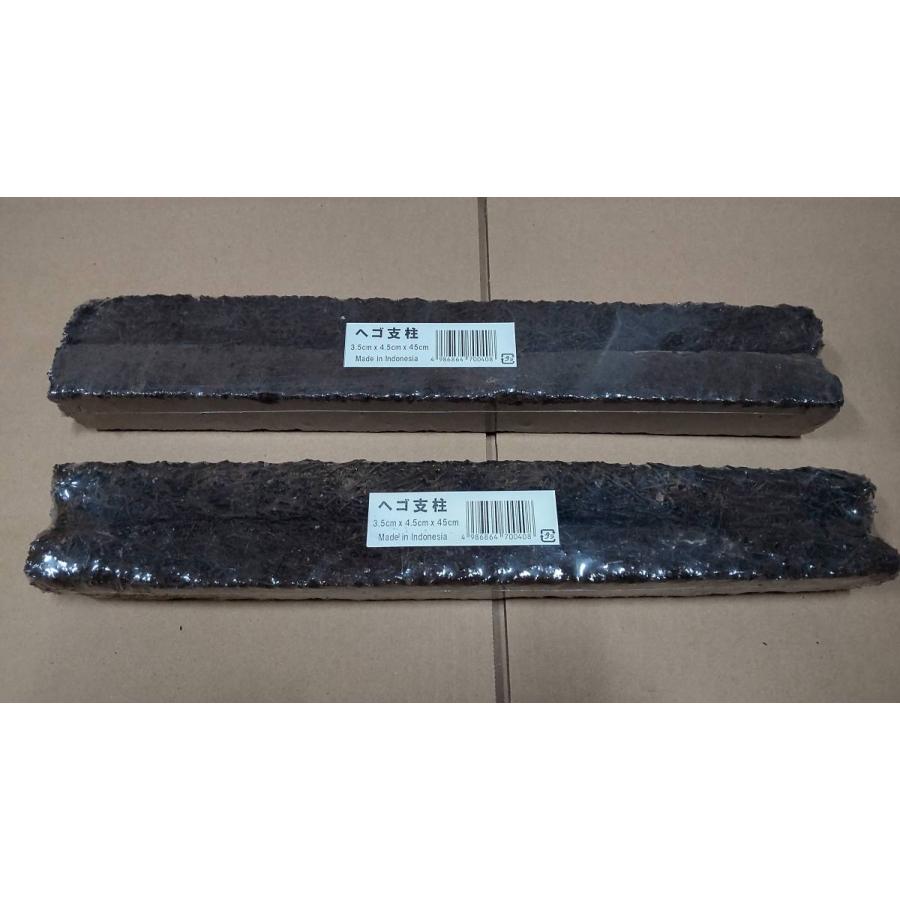 ヘゴ支柱 3 5cm 4 5cm 45cm 2本入り 4セット 合計8本セット ヘゴ材 棒タイプ Hegosityuu45cm きのくに種苗店 通販 Yahoo ショッピング
