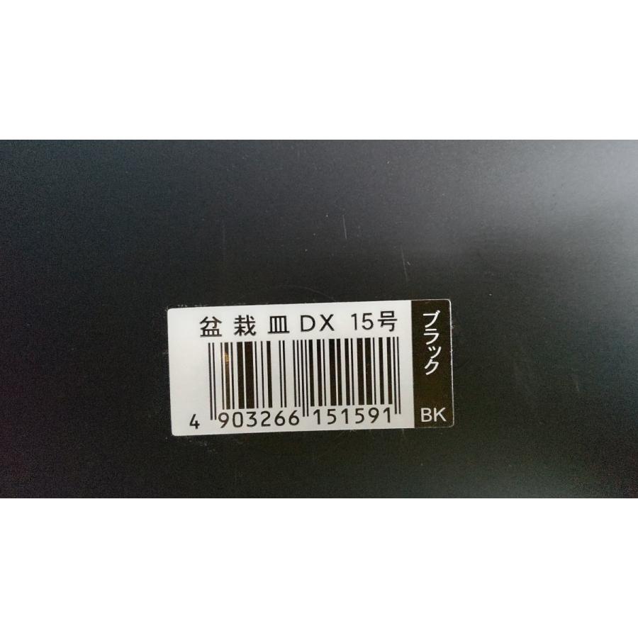 観賞用、皿 コーヒーカップとソーサーセット カプチーノカップ 磁器ティーカップ