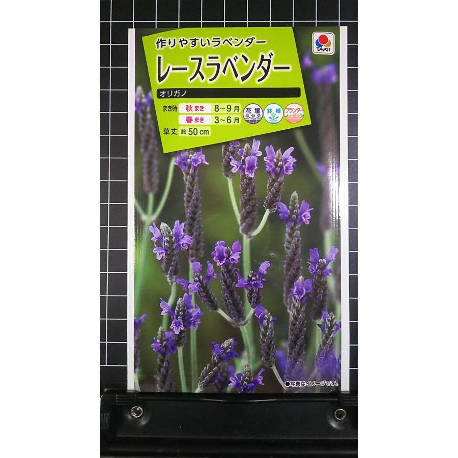 45R 美品 ギマニットのボレロ 0 ラベンダー 45R 美品 ギマニットのボレロ 0 ラベンダー