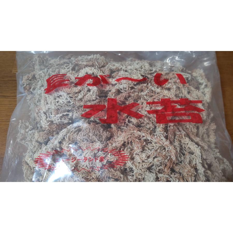 ゆっくり配送】水苔 約100g 長が〜い ニュージーランド産 送料無料