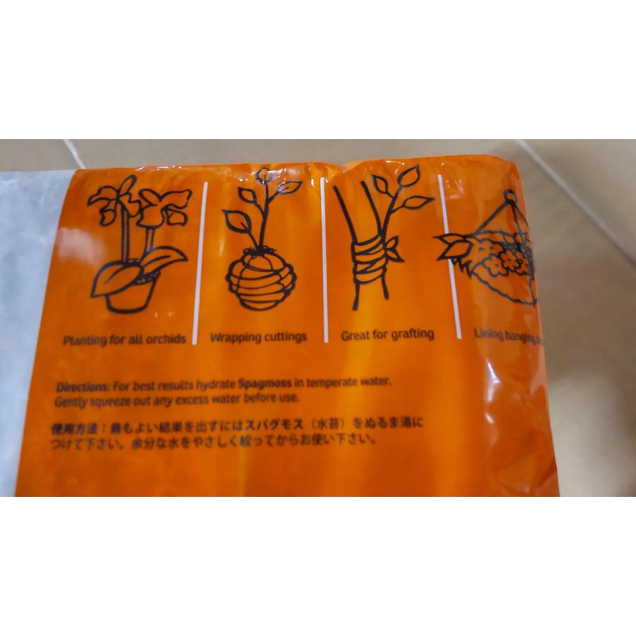 水苔 約150g 送料無料 ニュージーランド産 : きのくに種苗店