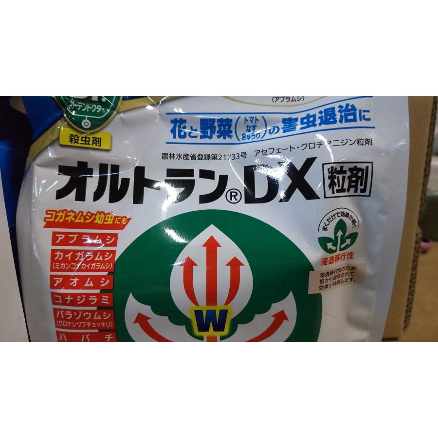 住友 オルトランdx粒剤 1kg ２袋セット 送料無料 Orutorandx1kg きのくに種苗店 通販 Yahoo ショッピング