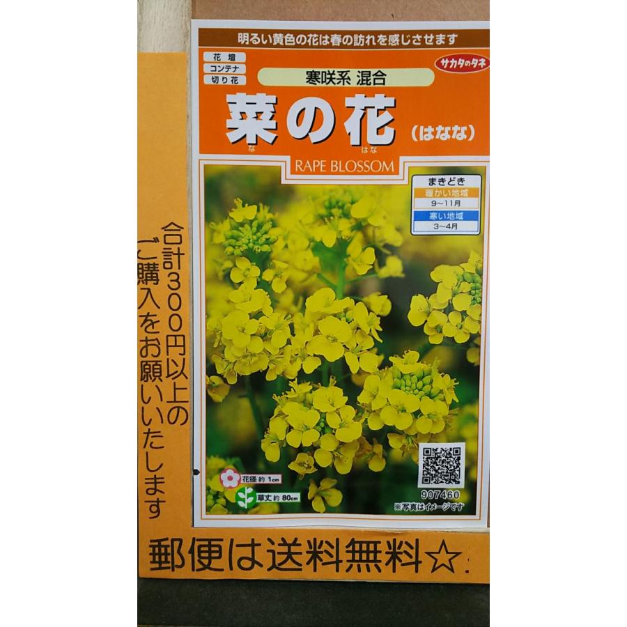 菜の花 はなな 寒咲系 混合 なばな 種 郵便は送料無料 Sk10cnanohana きのくに種苗店 通販 Yahoo ショッピング