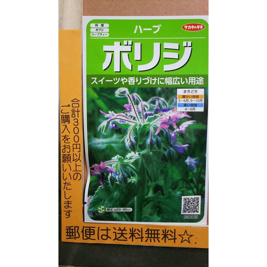 ボリジ ルリチシャ ハーブ 種 特価 郵便は送料無料
