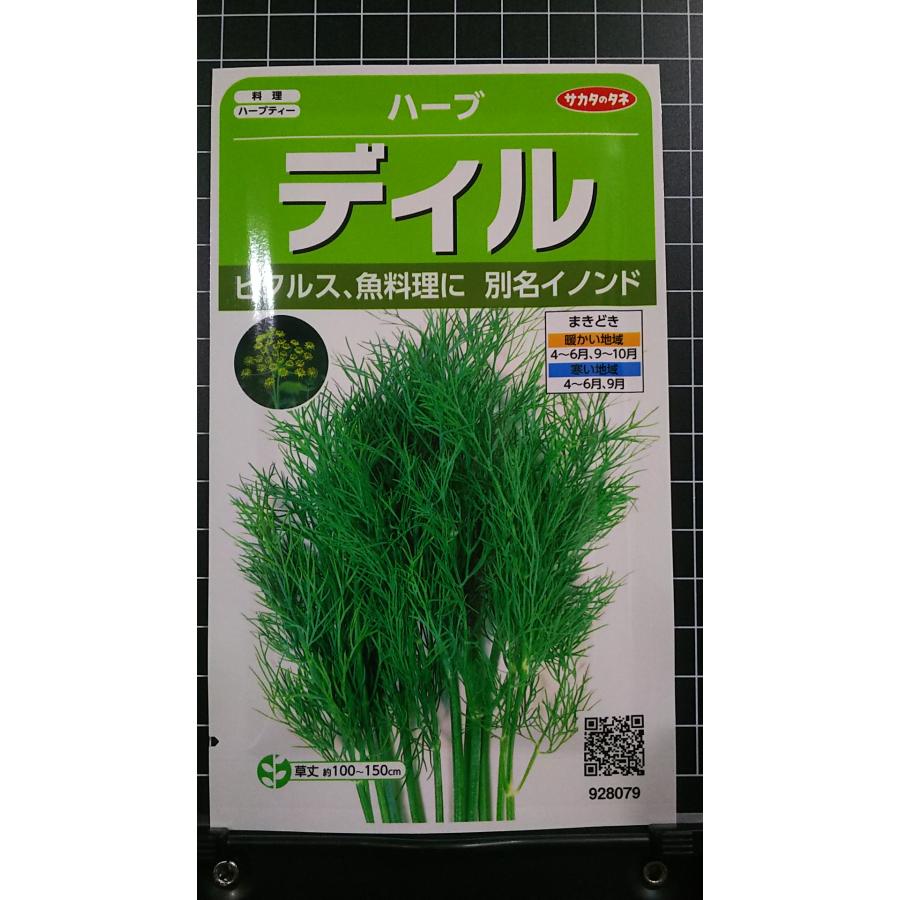 ３袋以上でクーポン割引 ディル イノンド ピクルス ハーブ 種 郵便は送料無料 Sr236cdhill きのくに種苗店 通販 Yahoo ショッピング